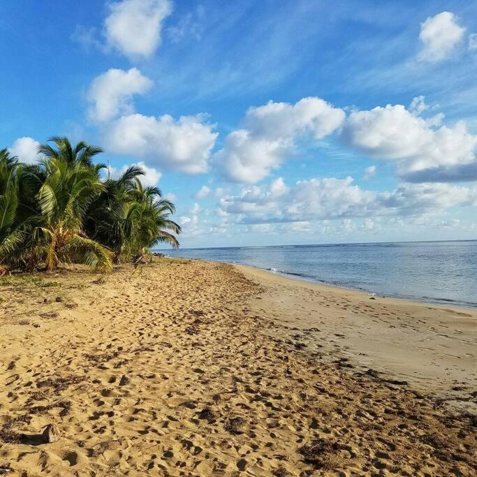1St Floor, A/C Everywhere, Balcony With Beach View In Luquillo Exteriör bild